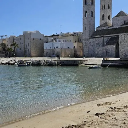 Sulle Antiche Mura Di Cinta *